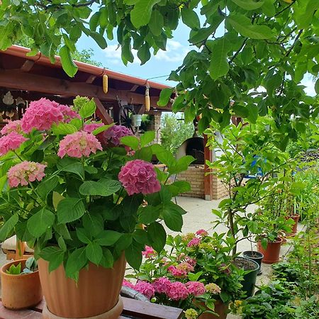 Fehér Rózsa Apartman Cserszegtomaj Esterno foto