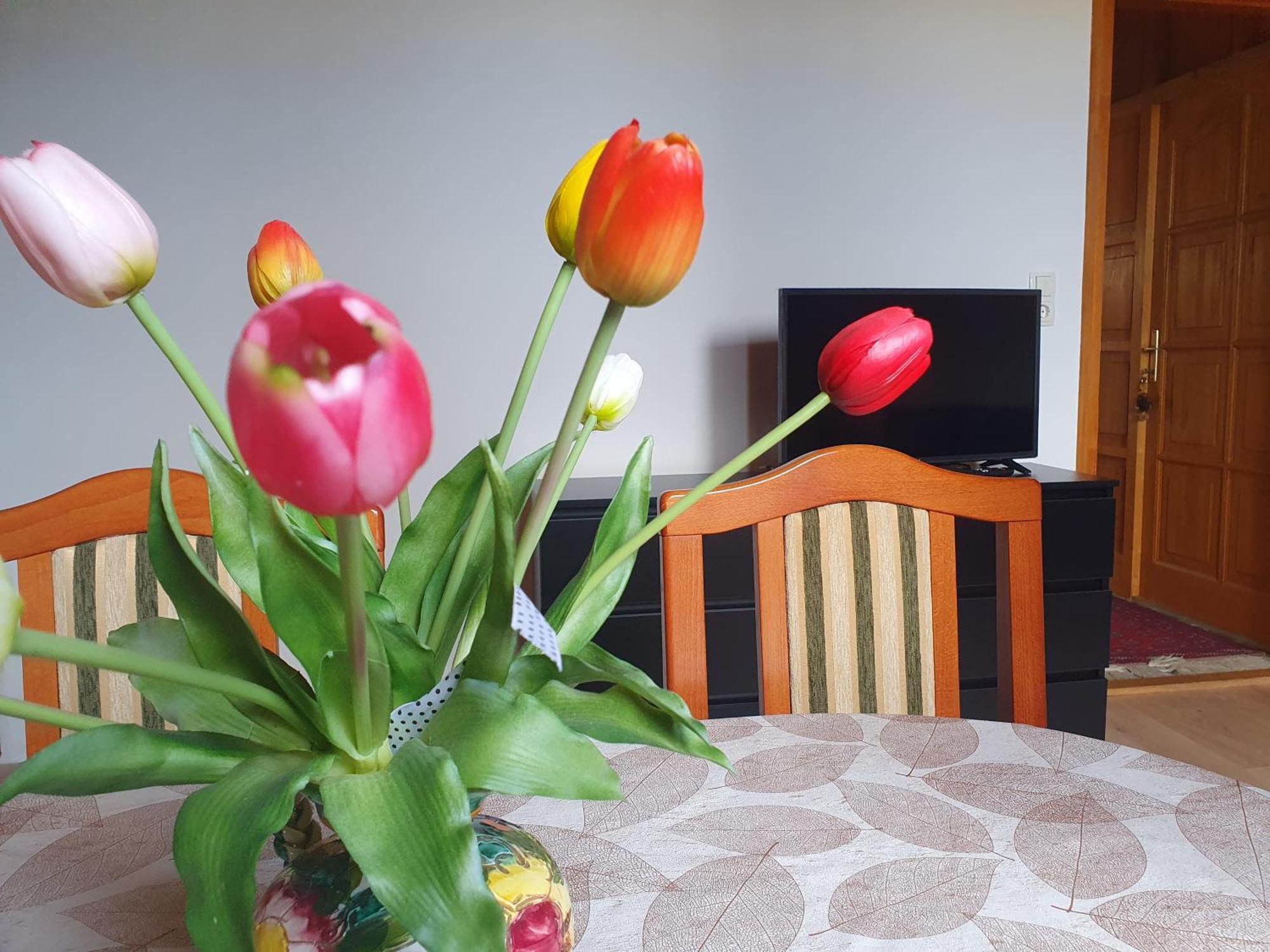 Fehér Rózsa Apartman Cserszegtomaj Esterno foto