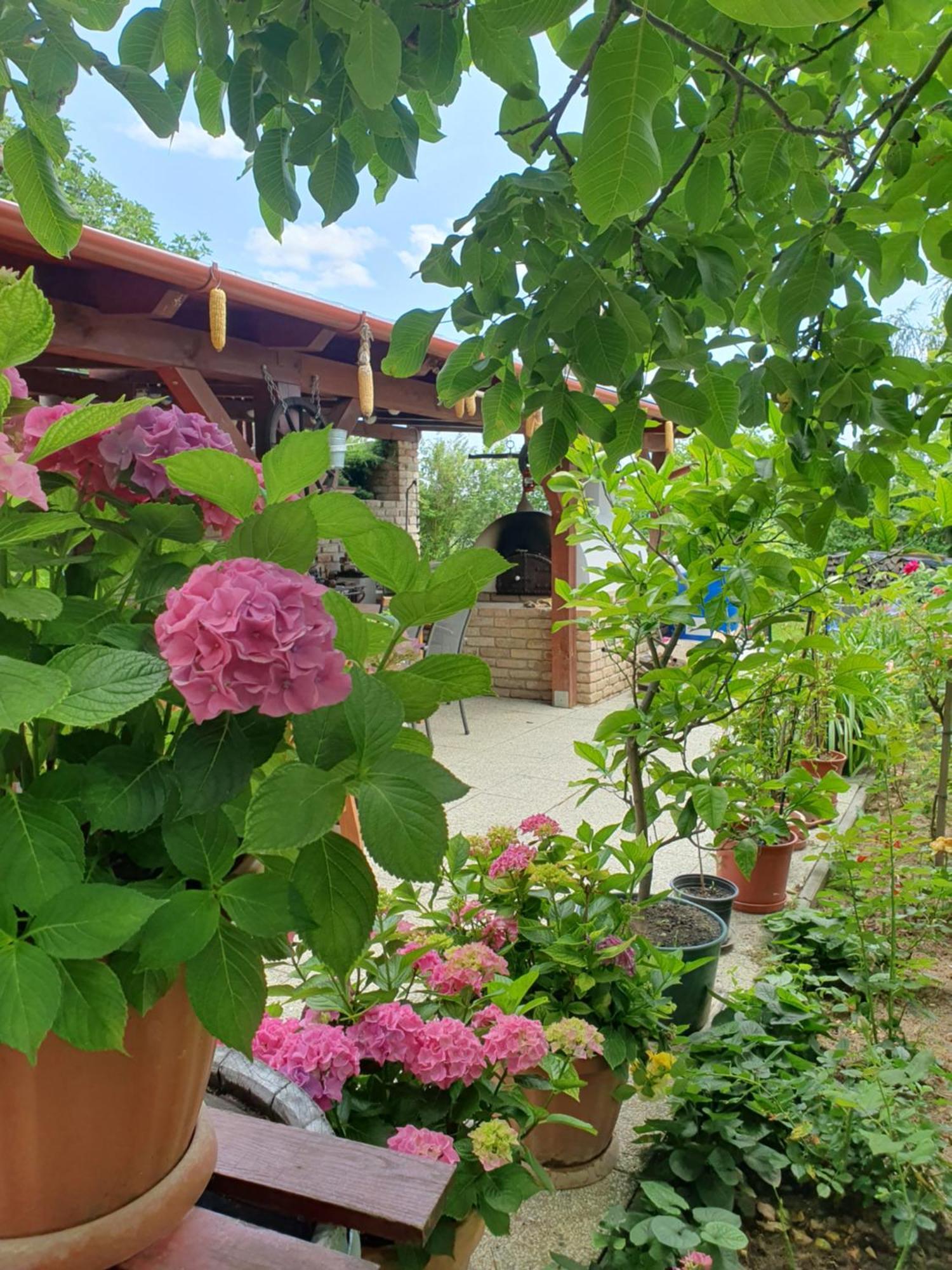 Fehér Rózsa Apartman Cserszegtomaj Esterno foto