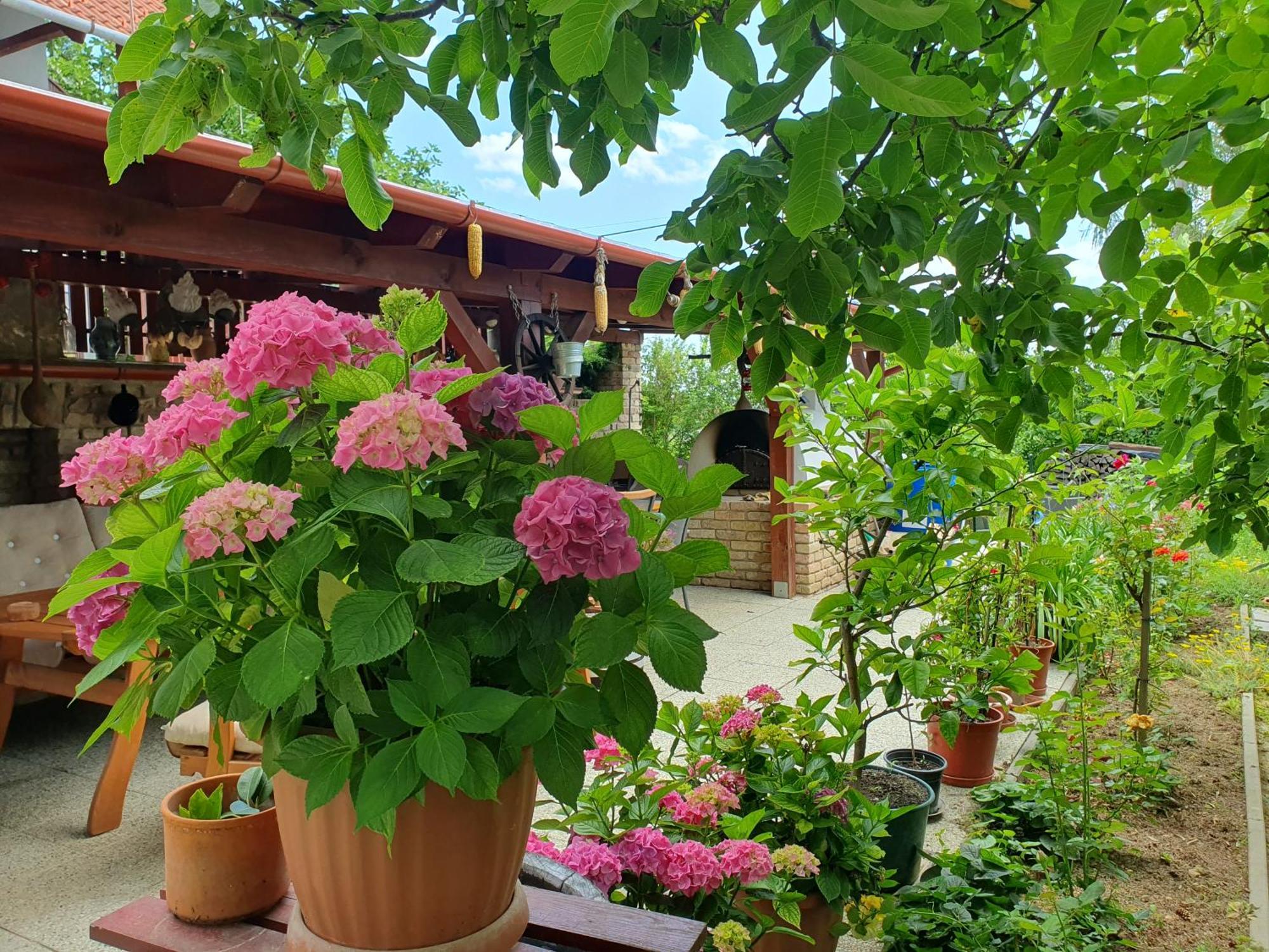 Fehér Rózsa Apartman Cserszegtomaj Esterno foto