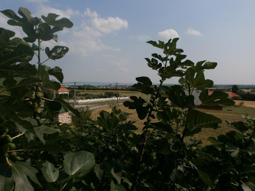 Fehér Rózsa Apartman Cserszegtomaj Camera foto