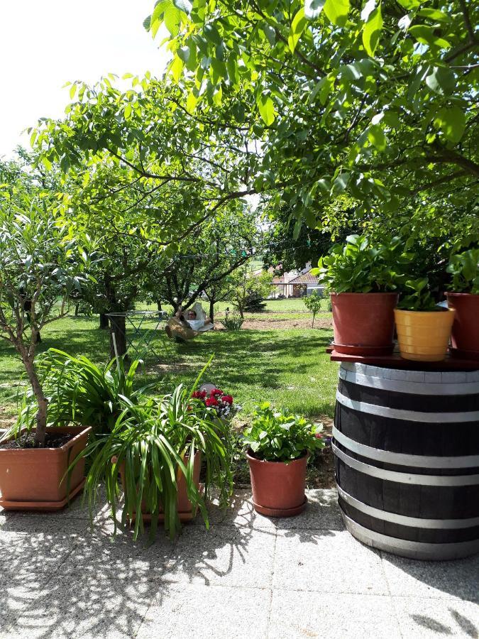 Fehér Rózsa Apartman Cserszegtomaj Esterno foto